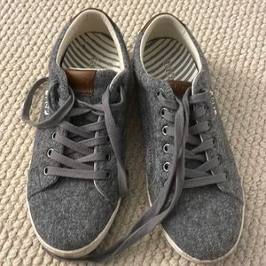 TAOS grey wool sneakers. Size 8